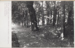 Ewidencja parkowa, skan nr 37