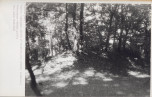 Ewidencja parkowa, skan nr 39