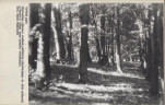 Ewidencja parkowa, skan nr 42