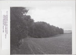EP - Ewidencja parkowa, skan nr 42