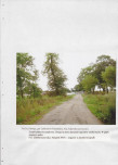 EP - Ewidencja parkowa, skan nr 63
