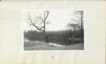 EP - Ewidencja parkowa, skan nr 39