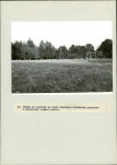 EP - Ewidencja parkowa, skan nr 54