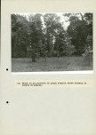 EP - Ewidencja parkowa, skan nr 55