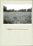 EP - Ewidencja parkowa, skan nr 58