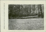 EP - Ewidencja parkowa, skan nr 30