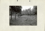 EP - Ewidencja parkowa, skan nr 28