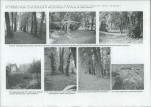 Ewidencja parkowa, skan nr 7