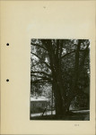 Ewidencja parkowa, skan nr 22