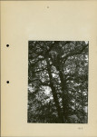 Ewidencja parkowa, skan nr 28