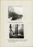 Ewidencja parkowa, skan nr 24