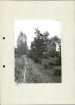 Ewidencja parkowa, skan nr 33