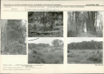 Karta biała, skan nr 11