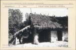 KB - Karta biała, skan nr 7