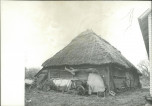 KB - Karta biała, skan nr 6