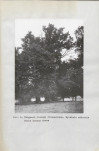 EP - Ewidencja parkowa, skan nr 26