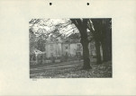 Ewidencja parkowa, skan nr 29