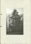 Ewidencja parkowa, skan nr 33