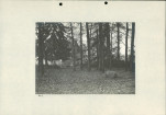 Ewidencja parkowa, skan nr 34