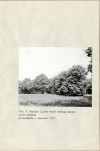 Ewidencja parkowa, skan nr 26