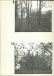 Ewidencja parkowa, skan nr 22