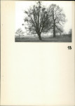 Ewidencja parkowa, skan nr 24