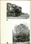 Ewidencja parkowa, skan nr 20