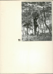 Ewidencja parkowa, skan nr 21
