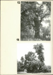 Ewidencja parkowa, skan nr 22