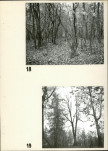 Ewidencja parkowa, skan nr 25