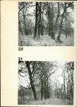 Ewidencja parkowa, skan nr 26