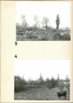 Ewidencja parkowa, skan nr 19