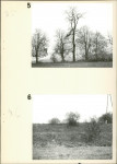 Ewidencja parkowa, skan nr 20