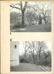 Ewidencja parkowa, skan nr 16
