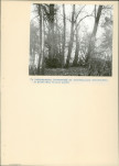 Ewidencja parkowa, skan nr 20