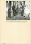 Ewidencja parkowa, skan nr 17