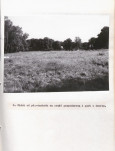 Ewidencja parkowa, skan nr 34