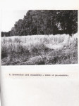 Ewidencja parkowa, skan nr 35