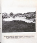Ewidencja parkowa, skan nr 38