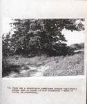 Ewidencja parkowa, skan nr 39