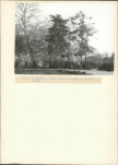 Ewidencja parkowa, skan nr 21