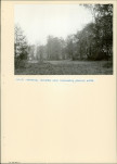 EP - Ewidencja parkowa, skan nr 18
