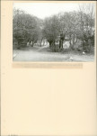 Ewidencja parkowa, skan nr 15