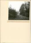 Ewidencja parkowa, skan nr 16