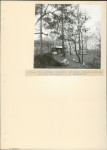 Ewidencja parkowa, skan nr 19