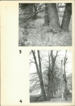 Ewidencja parkowa, skan nr 14