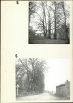 Ewidencja parkowa, skan nr 17