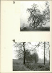 Ewidencja parkowa, skan nr 21