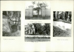 Karta biała, skan nr 6