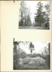 Ewidencja parkowa, skan nr 14
